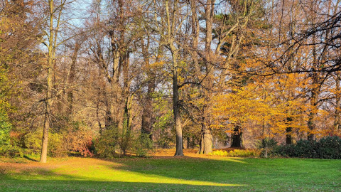 Park Zamkowy